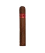 Partagas Serie E No 2